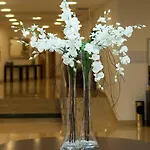 Cinquentenario & Conference Center Hotel 4*