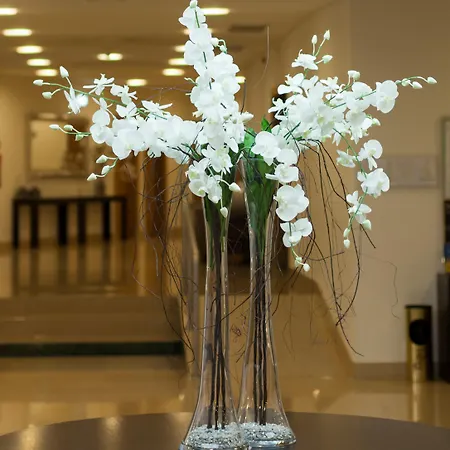 Cinquentenario & Conference Center מלון 4*