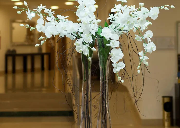 Cinquentenario & Conference Center Hotel 4*